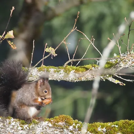 Les Bordes De Paloumieres Val-de-Sos