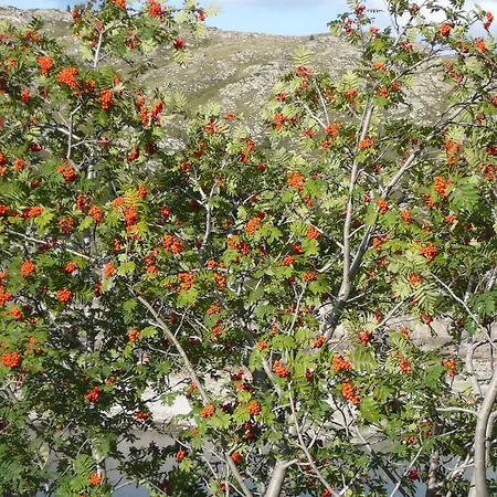 Les Bordes De Paloumieres Val-de-Sos