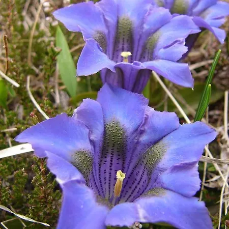 Летний дом Les Bordes De Paloumieres Val-de-Sos