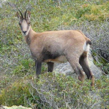 Летний дом Les Bordes De Paloumieres *