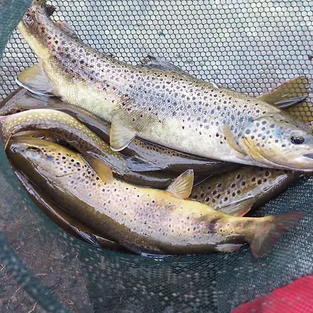 Kır Evi Les Bordes De Paloumieres Val-de-Sos