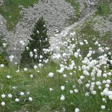 Gospodarstwo wiejskie Les Bordes De Paloumieres *