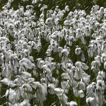 Gospodarstwo wiejskie Les Bordes De Paloumieres *